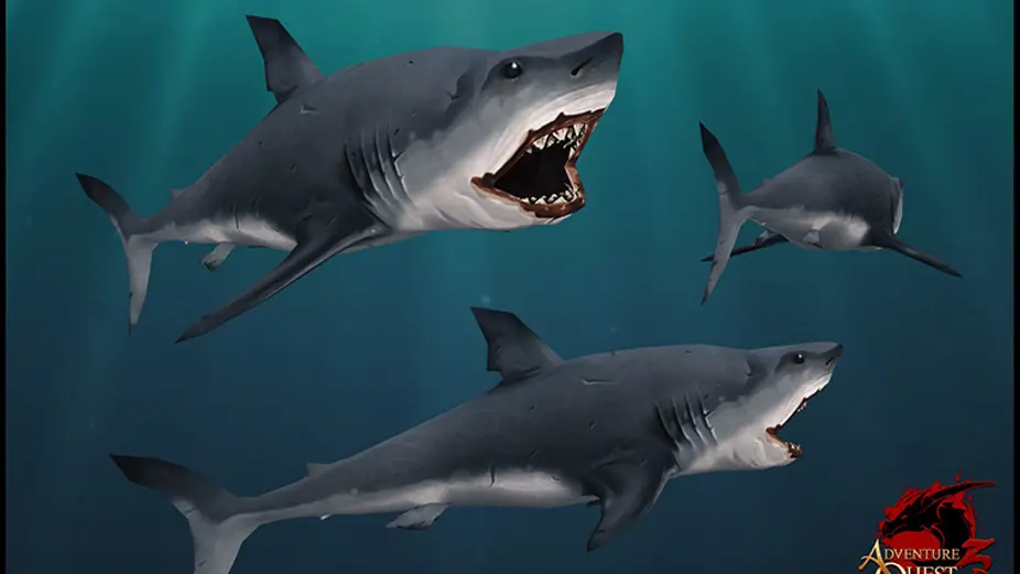 AQ3D Angry Dolphin