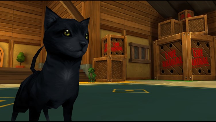 Black Cats are bad luck... or are they!?