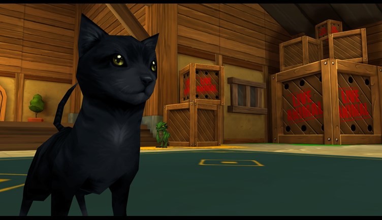 Black Cats are bad luck... or are they!?