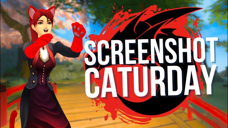 Screenshot-Caturday-Contest